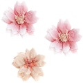 Cover-Bild zum Titel 'Seidenpapierblumen Kirschblüte, S, FSC MIX, Ø 11 cm, 3 Stk' von ''