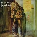 Aqualung (Steven Wilson Mix) - Jethro Tull