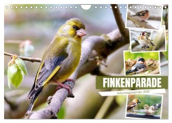 Cover-Bild zum Titel 'Finkenparade (Wandkalender 2026 DIN A4 quer), CALVENDO Monatskalender' von 'Sabine Löwer'