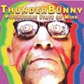 A Psychedelicc Sate Of Mind - ThunderBünny