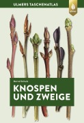 Cover-Bild zum Titel 'Knospen und Zweige' von 'Bernd Schulz'