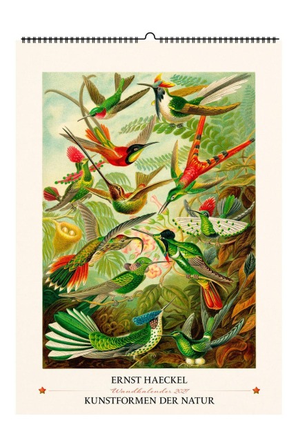 Ernst Haeckel. Kunstformen der Natur. Wandkalender 2027 - 