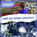 Cover-Bild zum Titel 'What Are Natural Disasters?' von 'Joyce Jeffries'