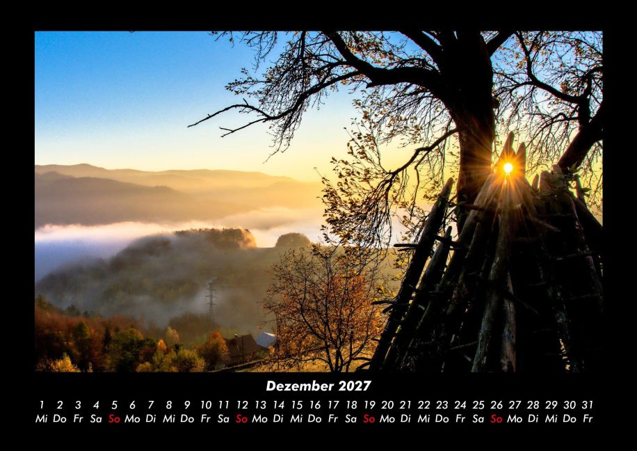 InsideView 4