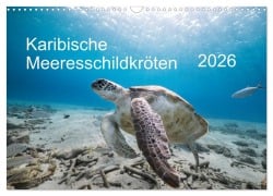 Cover-Bild zum Titel 'Karibische Meeresschildkröten (Wandkalender 2026 DIN A3 quer), CALVENDO Monatskalender' von 'Yvonne Tilo Kühnast - naturepics'