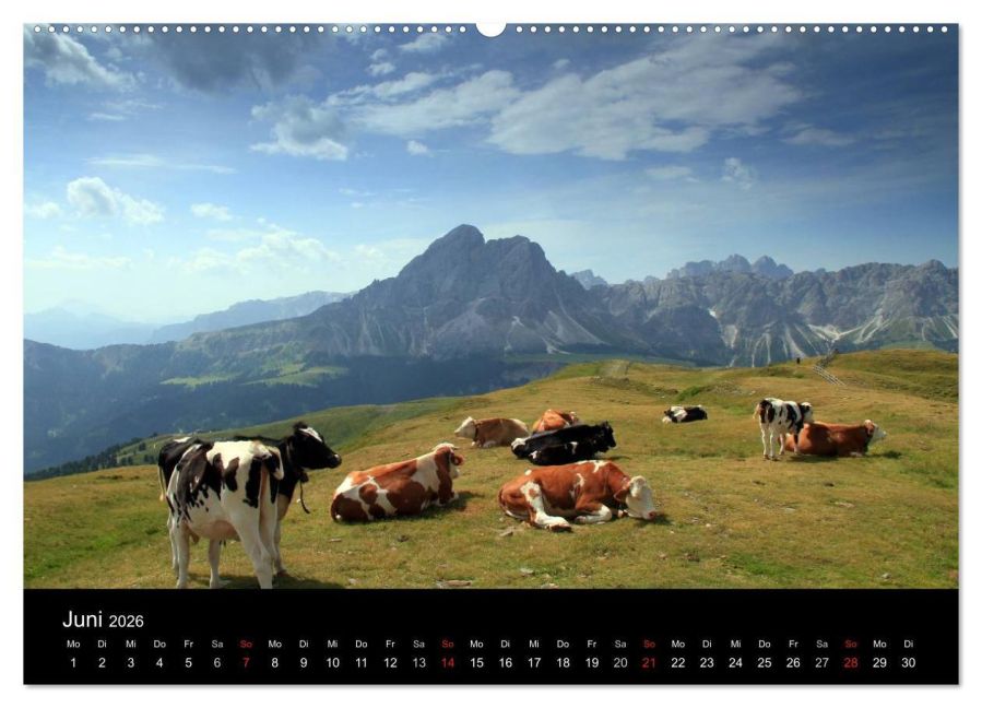 InsideView 11