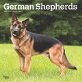German Shepherds 2025 12 X 24 Inch Monthly Square Wall Calendar Plastic-Free - Browntrout