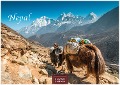 Nepal 2025 L 35x50cm - 