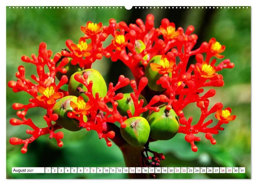InsideView 13