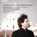 Cover-Bild zum Titel 'Perspectives 7' von 'Andreas Haeflliger'
