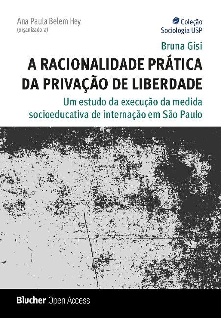 A racionalidade prática da privação de liberdade - Bruna Gisi