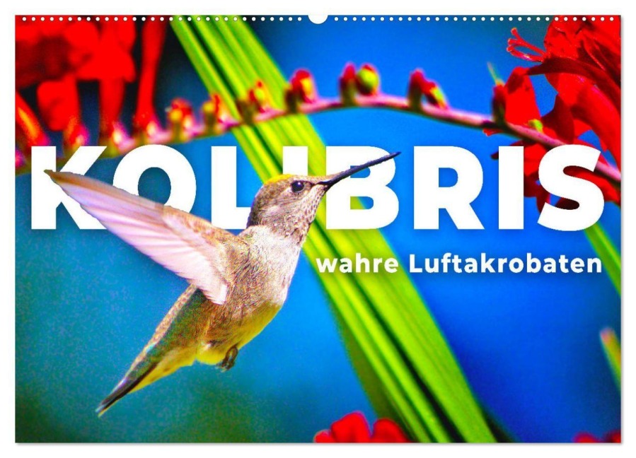 Kolibris - wahre Luftakrobaten (Wandkalender 2027 DIN A2 quer), CALVENDO Monatskalender - Happy Monkey