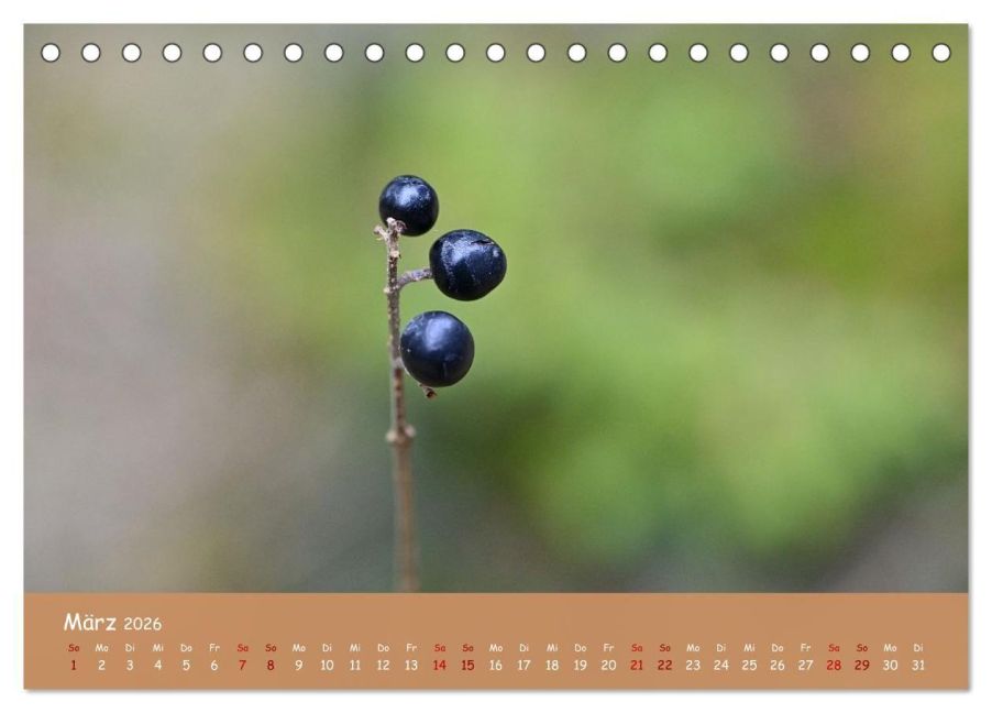 InsideView 8
