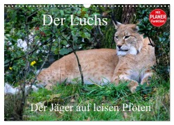 Cover-Bild zum Titel 'Der Luchs - Der Jäger auf leisen Pfoten (Wandkalender 2026 DIN A3 quer), CALVENDO Monatskalender' von 'Arno Klatt'