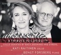 Cover-Bild zum Titel 'A Tribute to Curiosity' von 'Kati/Forsberg Raitinen'