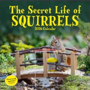 Cover-Bild zum Titel 'Secret Life of Squirrels Wall Calendar 2026' von 'Nancy Rose, Workman Calendars'