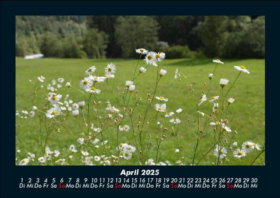 InsideView 8