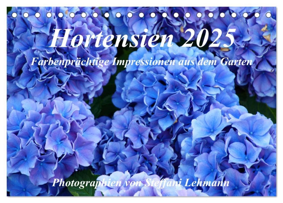 Hortensien 2025. Farbenprächtige Impressionen aus dem Garten (Tischkalender 2025 DIN A5 quer), CALVENDO Monatskalender - Steffani Lehmann