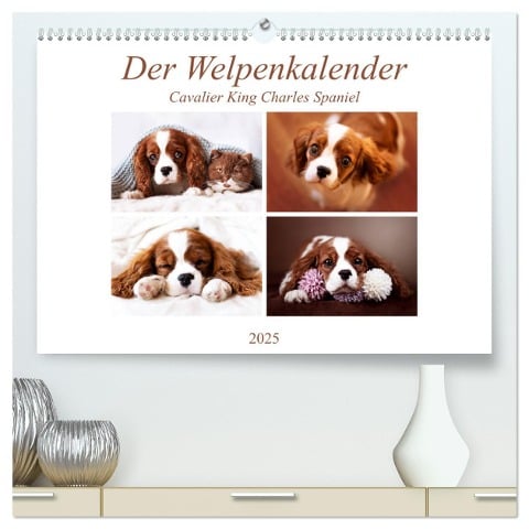 Der Welpenkalender - Cavalier King Charles Spaniel (hochwertiger Premium Wandkalender 2025 DIN A2 quer), Kunstdruck in Hochglanz - Janina Bürger