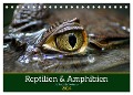 Reptilien & Amphibien Portraits (Tischkalender 2024 DIN A5 quer), CALVENDO Monatskalender - Klaus Vartzbed
