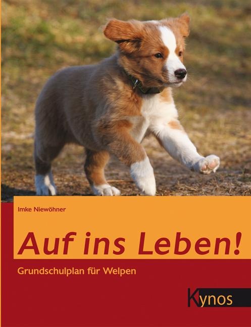Auf ins Leben! - Imke Niewöhner