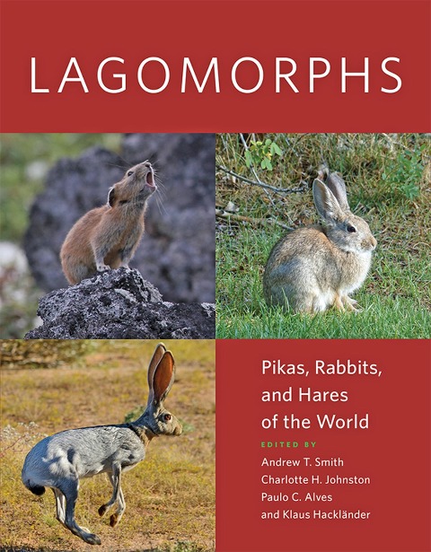 Lagomorphs - 