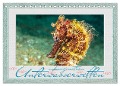 Faszination Unterwasserwelten (Tischkalender 2024 DIN A5 quer), CALVENDO Monatskalender - Dieter Gödecke