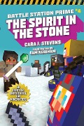 The Spirit in the Stone - Cara J Stevens