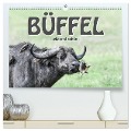 Büffel - wild und schön (hochwertiger Premium Wandkalender 2024 DIN A2 quer), Kunstdruck in Hochglanz - Robert Styppa