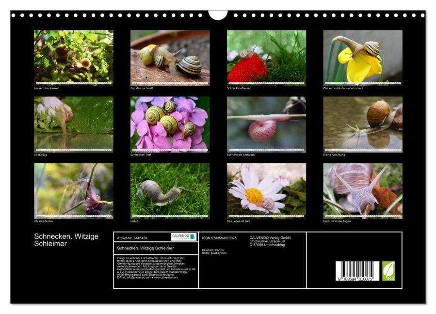 InsideView 5