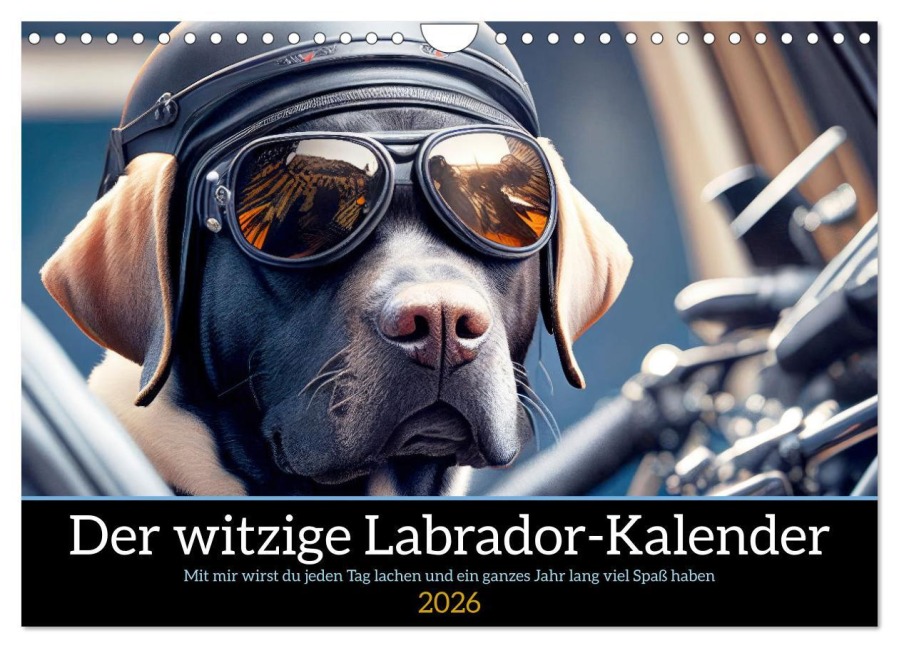 Der witzige Labrador-Kalender (Wandkalender 2026 DIN A4 quer), CALVENDO Monatskalender - Peter Rübsamen