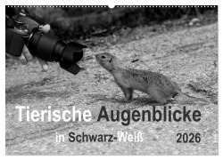 Cover-Bild zum Titel 'Tierische Augenblicke in Schwarz-Weiß (Wandkalender 2026 DIN A2 quer), CALVENDO Monatskalender' von 'Marianne Drews'