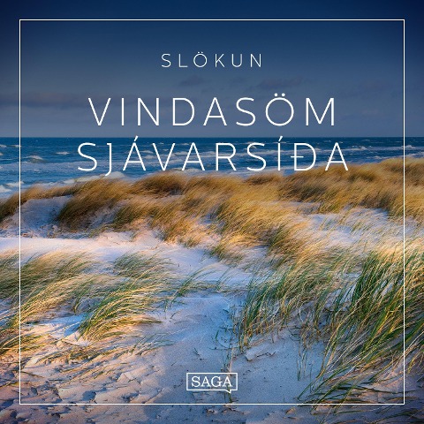 Slökun - Vindasöm sjávarsíða - Rasmus Broe