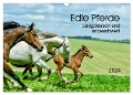 Edle Pferde - ausgelassen und unbeschwert (Wandkalender 2024 DIN A3 quer), CALVENDO Monatskalender - Kerstin Waurick