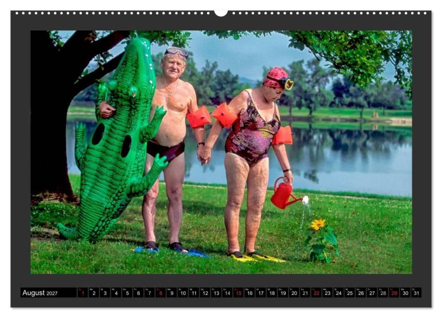 InsideView 12