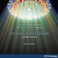 Cover-Bild zum Titel 'Dixit Dominus/Motetten' von 'Taylor/Canton/Ottawa Bach Choir'