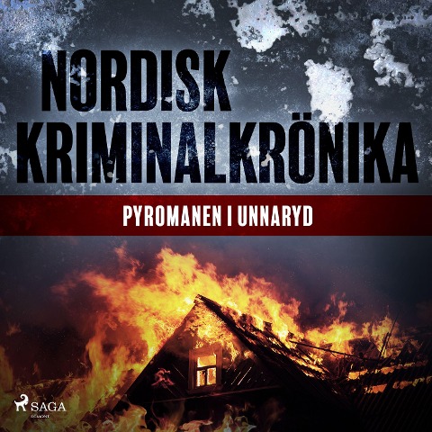 Pyromanen i Unnaryd - 