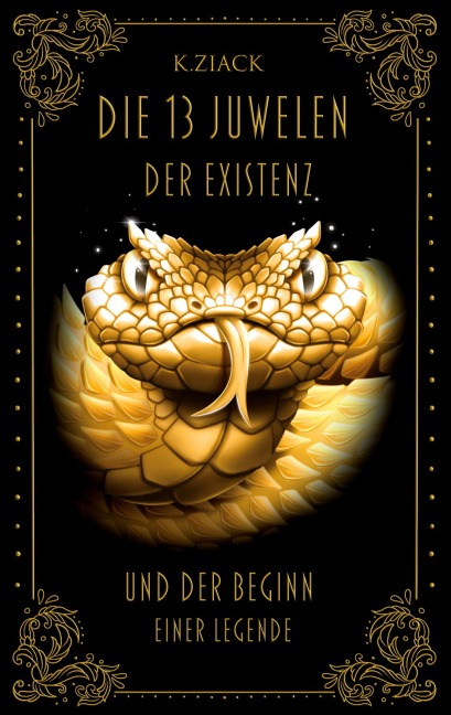 Die 13 Juwelen der Existenz - K. Ziack