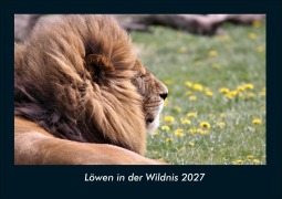 Cover-Bild zum Titel 'Löwen in der Wildnis 2027 Fotokalender DIN A4' von 'Tobias Schmitt, Kevin Heber'