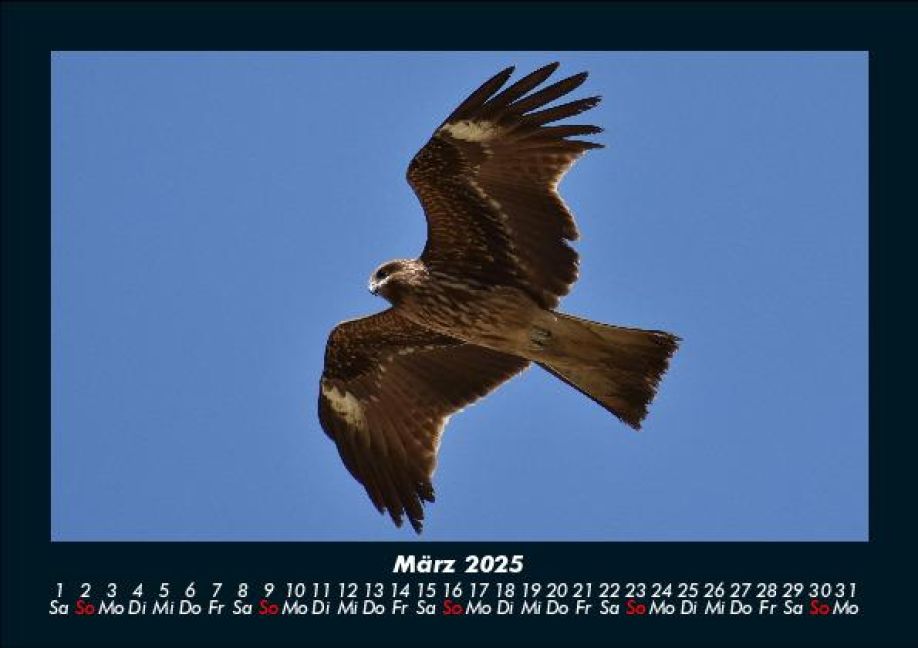 InsideView 7