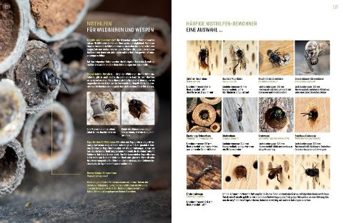 InsideView 10
