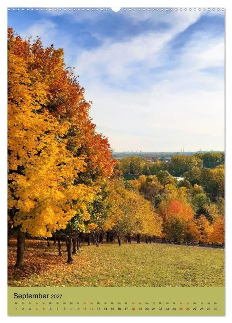 InsideView 13