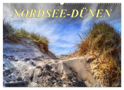 Nordsee-Dünen (Wandkalender 2025 DIN A2 quer), CALVENDO Monatskalender - Peter Roder