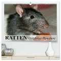 Ratten - Gelehrige Haustiere (hochwertiger Premium Wandkalender 2025 DIN A2 quer), Kunstdruck in Hochglanz - Elisabeth Stanzer