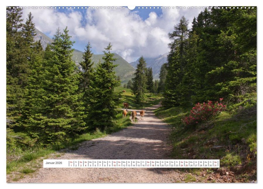 InsideView 6