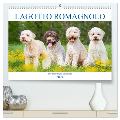 Lagotto Romagnolo - Der Trüffelhund aus Italien (hochwertiger Premium Wandkalender 2024 DIN A2 quer), Kunstdruck in Hochglanz - Sigrid Starick