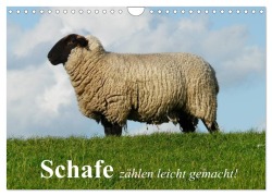 Schafe zählen leicht gemacht! (Wandkalender 2026 DIN A4 quer), CALVENDO Monatskalender - Elisabeth Stanzer
