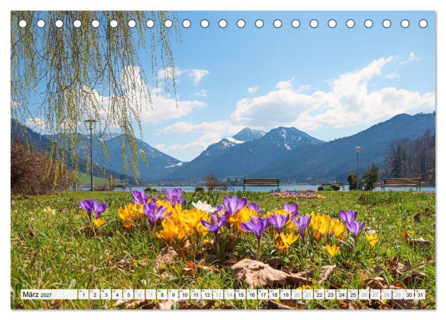 InsideView 8