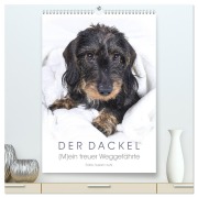 Cover-Bild zum Titel 'Der Dackel (M)ein treuer Weggefährte (hochwertiger Premium Wandkalender 2026 DIN A2 hoch), Kunstdruck in Hochglanz' von 'Susann Kuhr'