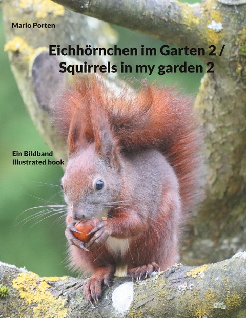 Eichhörnchen im Garten 2 / Squirrels in my garden 2 - Mario Porten